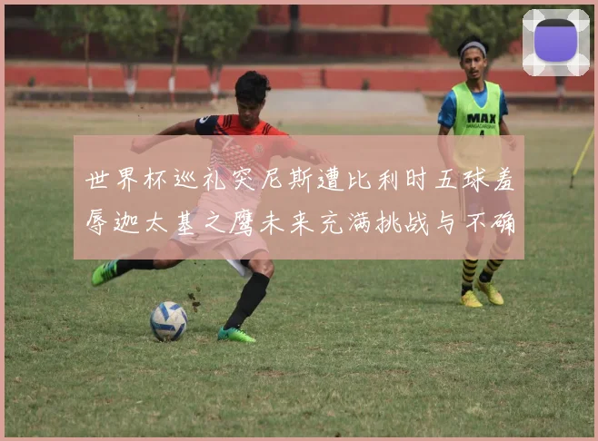 世界杯巡礼突尼斯遭比利时五球羞辱迦太基之鹰未来充满挑战与不确定性