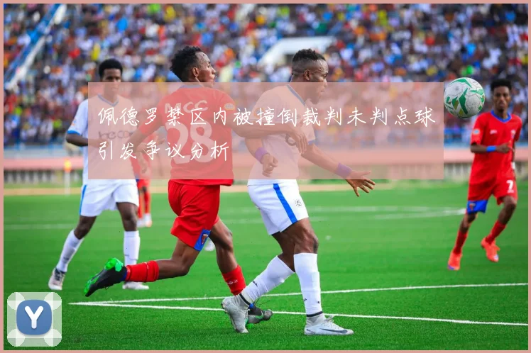 佩德罗禁区内被撞倒裁判未判点球引发争议分析